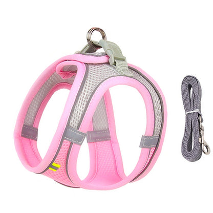 Dog Harness Leash Set