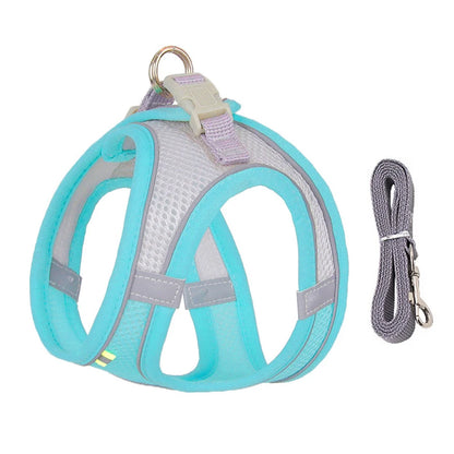 Dog Harness Leash Set